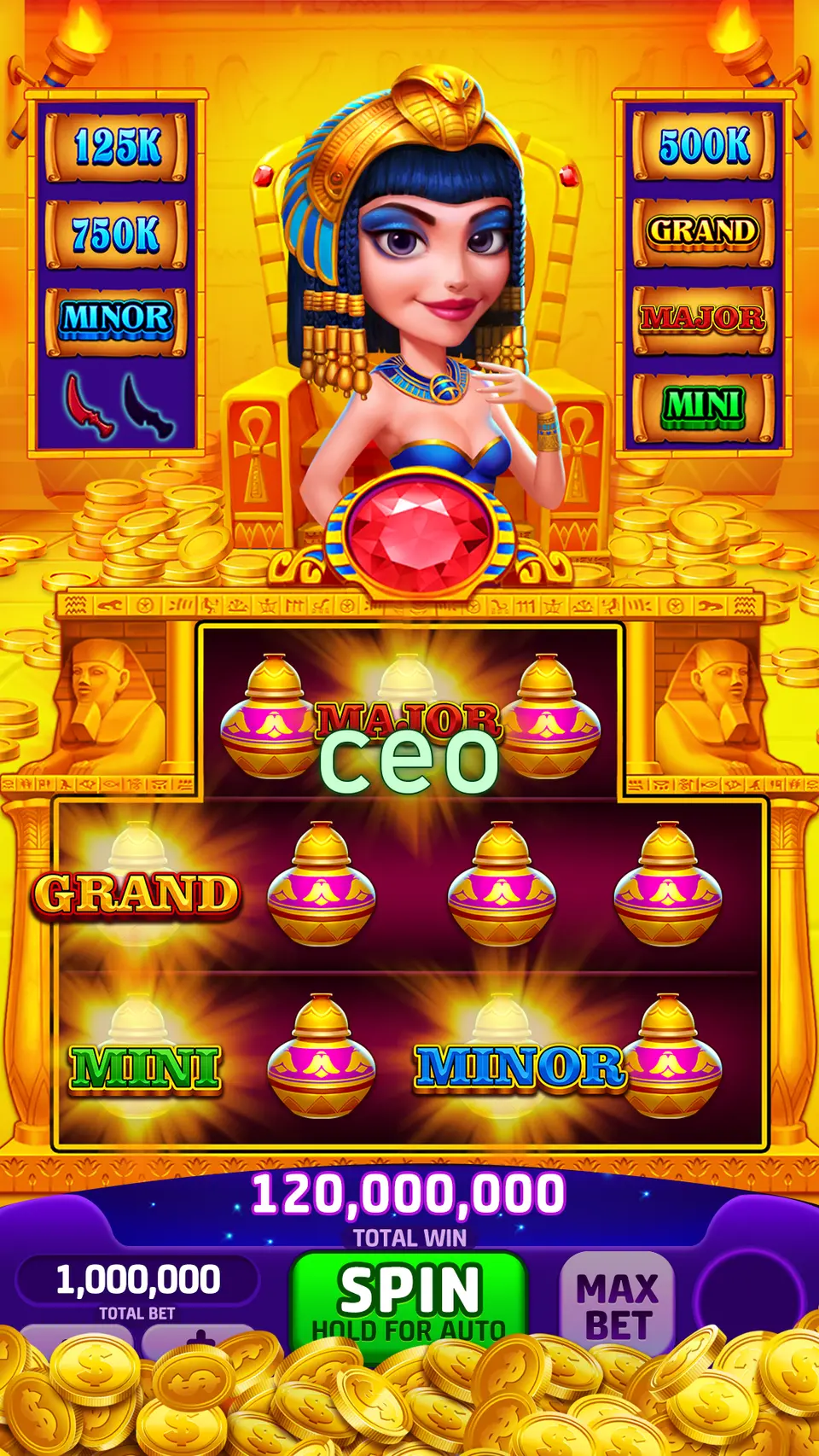 ceo লগইন